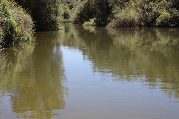 Fototapeta na wymiar Reflejo Paisaje rio Manzanares El Pardo
