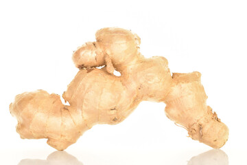 Fresh ginger root, close-up, isolated on white.