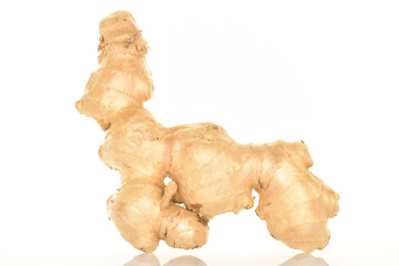 Ripe ginger root, close-up, on a white background.