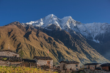 Fototapeta na wymiar View of Kutang Himal range with Khayang & Saula Himal peaks, above Shayala village below, a typical tibetan village, Manaslu Circuit trek, Manaslu Himal, Gorkha district, Nepal Himalaya, Nepal.