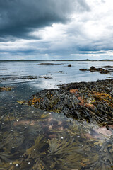 The tide has turned at Low Newton-by-the-Sea but clouds are heavy before the rain on a warm summers day.