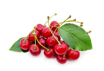 Branch with cherries and leaves.