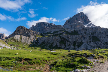Obraz premium Incredible nature landscape in Dolomites Alps. Spring blooming meadow. Flowers in the mountains. Spring fresh flowers. View of the mountains. Panorama of Dolomites, Italy. Daisy flowers.