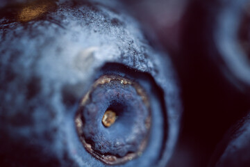Macro photo of blueberries, very shallow depth of field