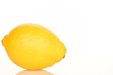 Ripe yellow lemons, close-up, on a white background.