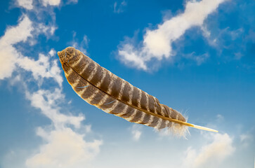 Single feather floating in air with blue sky and white clouds in background