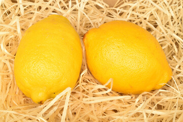 Ripe yellow lemon, close-up, on a background of wood shavings.