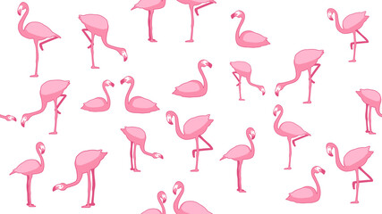 Bird seamless pattern, Flamingo on white wallpaper. 