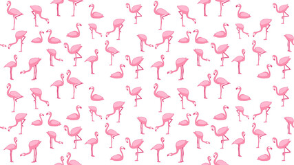 Bird seamless pattern, Flamingo on white wallpaper. 