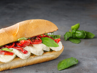 Sandwich with mozzarella cheese and sun-dried tomatoes.