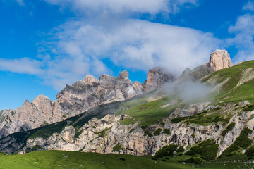 Naklejka premium Beautiful Flowers grass blooming in summer, green field, mountain background like heaven Dolomites, Italy