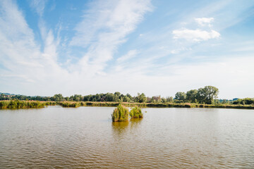 Obraz premium Torbiere del Sebino nature reserve in the province of Brescia on a sunny day with clouds