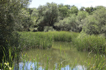 Reflejo Paisaje rio Manzanares El Pardo