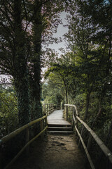Fototapeta premium Torbiere del Sebino nature reserve. View of the 