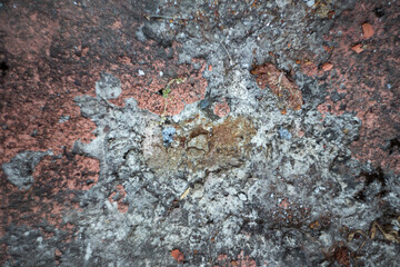 Natural background where focus is soft. Macro shot. Crumbled painted concrete