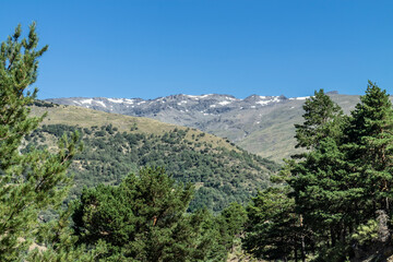 Obraz premium high mountains of the Sierra Nevada mountain range