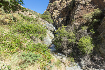 Obraz premium high mountain river surrounded by vegetation