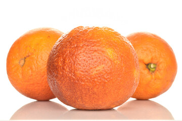 Juicy organic oranges, close-up, isolated on white.