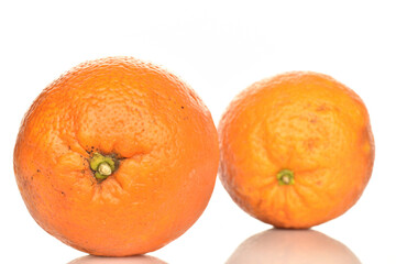 Juicy organic oranges, close-up, isolated on white.