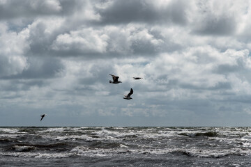 Stormy Baltic sea.