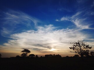 sunset in the forest