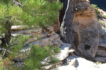 Fototapeta premium Angel's Landing Trail, Zion National Park, Utah