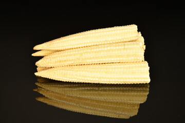 Ripe sweet ears of mini corn, close-up, isolated on black.