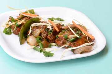 Chilli paneer or Spicy cottage cheese, Garnish with capsicum, onion,cabbage and spring onion, favourite indian starter menu, served in white Dish,selective focus
