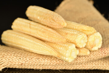 Ripe sweet ears of mini corn, close-up, isolated on black.