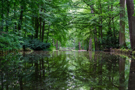 Weiße Brücke aus Birkenholz steht an einem Teich in der markgräflichen Eremitage in Bayreuth.
