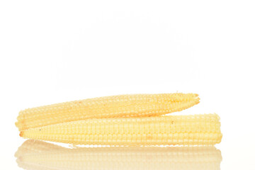 Ripe sweet mini corn cobs, close-up, isolated on white.