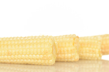 Ripe sweet mini corn cobs, close-up, isolated on white.