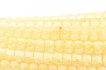 Ripe sweet mini corn cobs, close-up, isolated on white.
