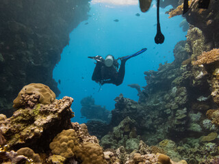 Scuba diver at a tropical Red Sea coral reef near Hurghada, Egypt. Bluewater, underwater cliffs.