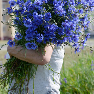 bouquet of flowers in the hand