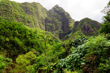 Pu´u or Puu Kukui Mountain summit inside Iao Valley State Park on tropical Island of Maui in...