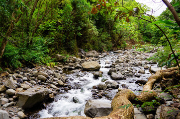 Iao Stream is beautiful little river or creek inside Iao Valley State Park surrounded by lush...