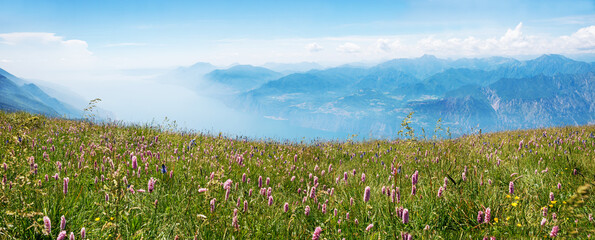 wildflower meadow with pink bistort, monte baldo mountain and garda lake view