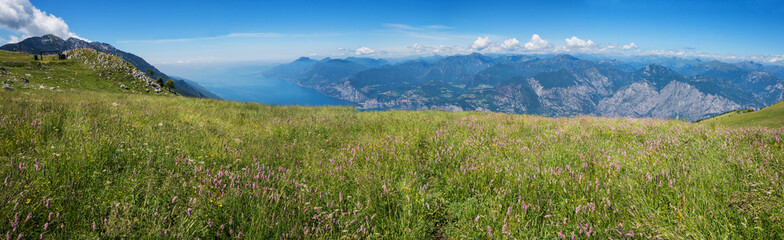 wildflower meadow with pink bistort, monte baldo mountain and garda lake view