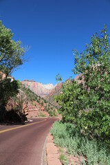 Exploring Zion National Park in summer