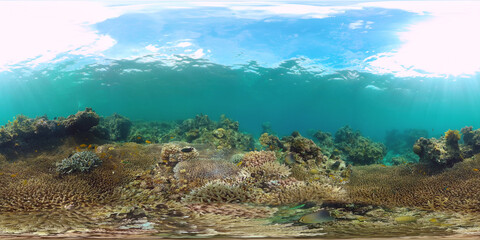 Tropical fishes and coral reef underwater. Hard and soft corals, underwater landscape. Travel vacation concept © Alex Traveler