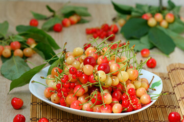 Beautiful cherry berry with sprigs and red currant in a beautiful white plate