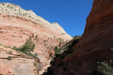 Exploring Zion National Park in summer