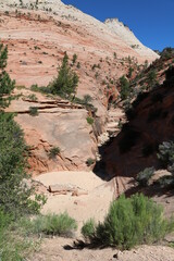 Exploring Zion National Park in summer