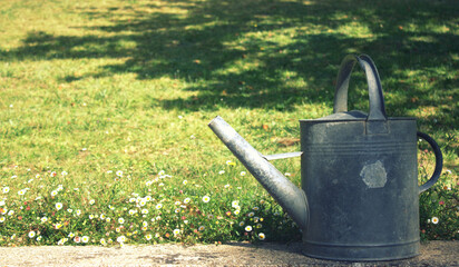 arrosoir en métal gris de jardinage ,isolé dans le jardin © Patryssia