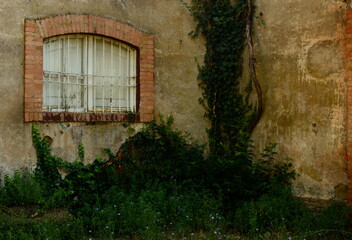 Finestra di un vecchio casolare, Roma