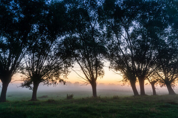 Kolorowy poranek z mgłami w Dolinie Narwi, Podlasie, Polska © podlaski49