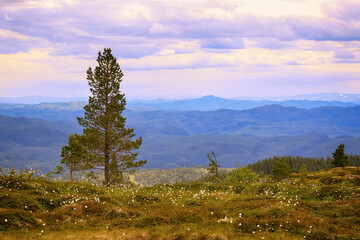 Vassfjella hiking tour