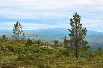 Vassfjella hiking tour