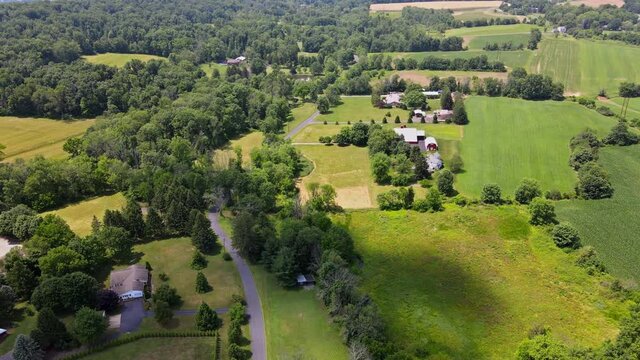 Green and yellow field from a great height in summer in the flight of the drone over the meadows with forest Pocono Pennsylvania USA